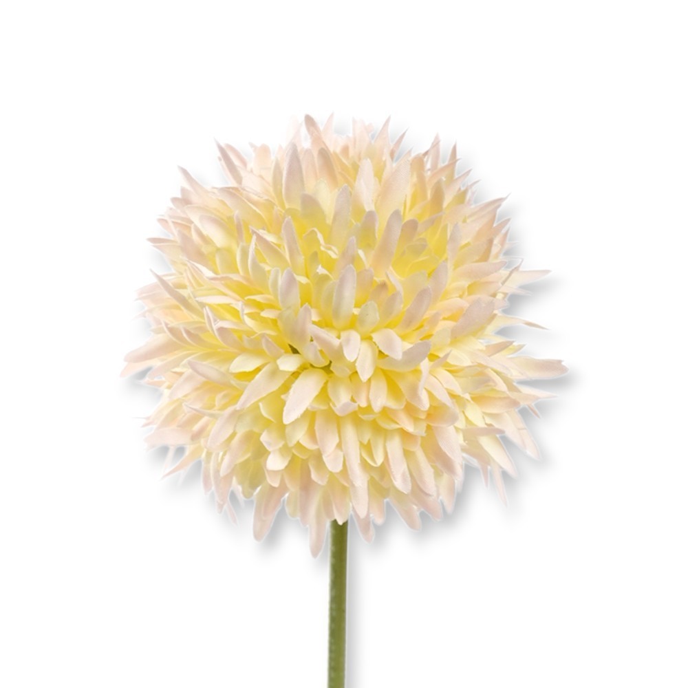 ALLIUM CM.45 TEA